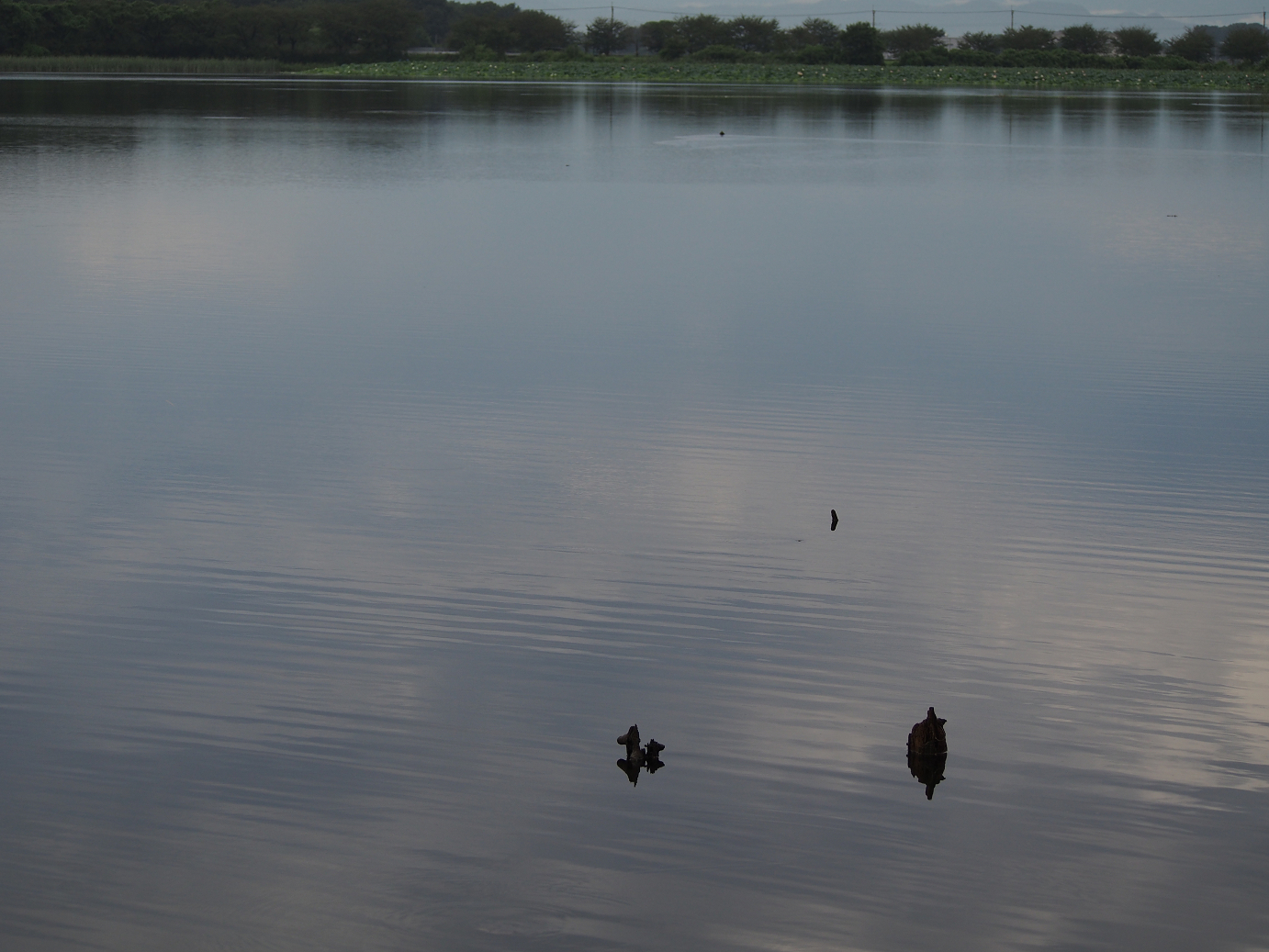 P8250012.jpg
