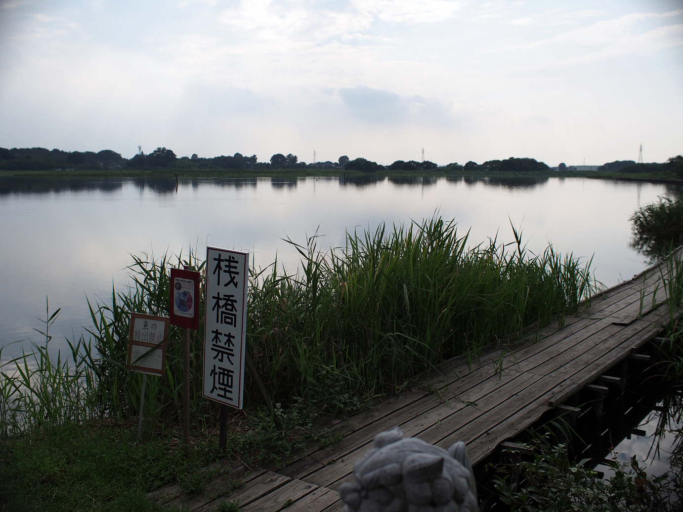 P8250038.jpg