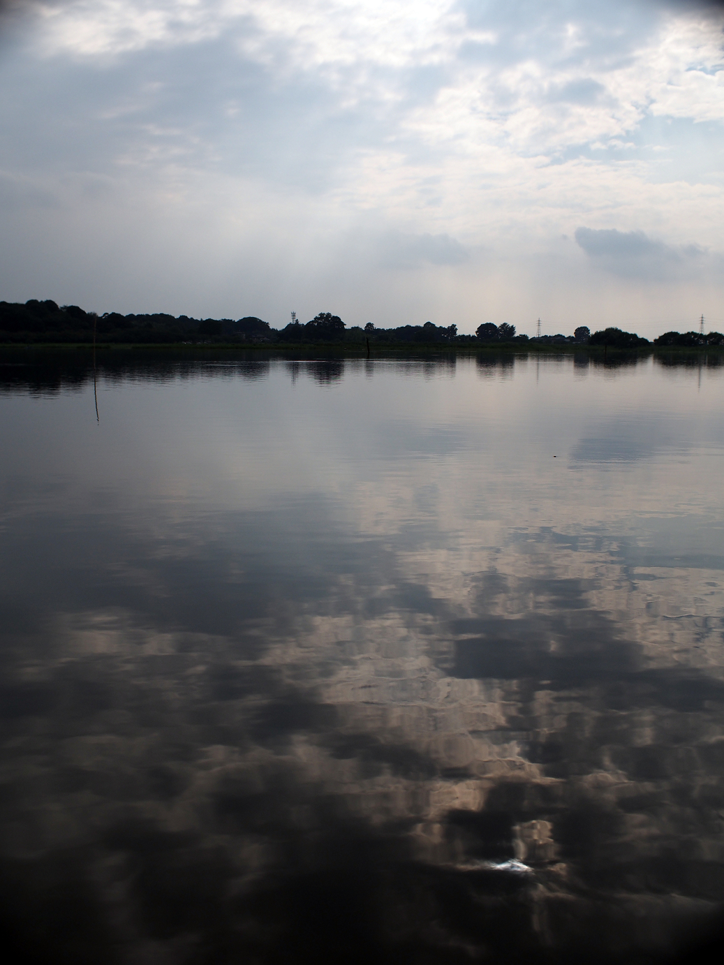 P8250040.jpg