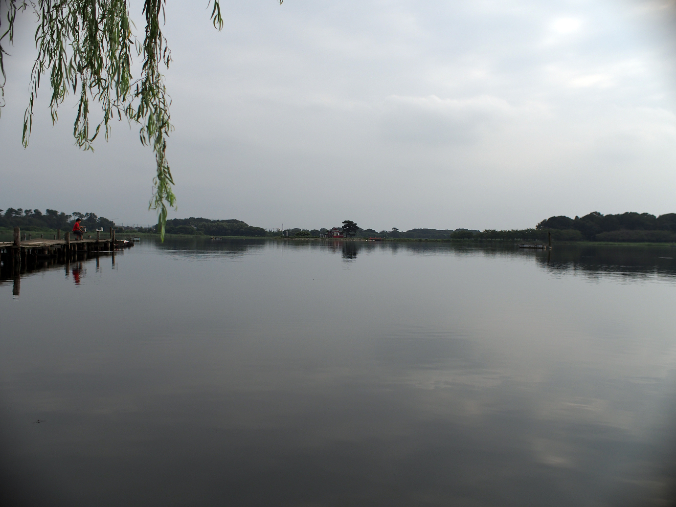 P8250041.jpg