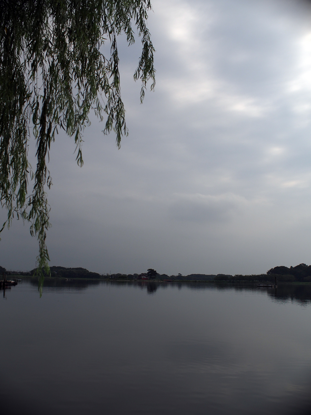 P8250042.jpg