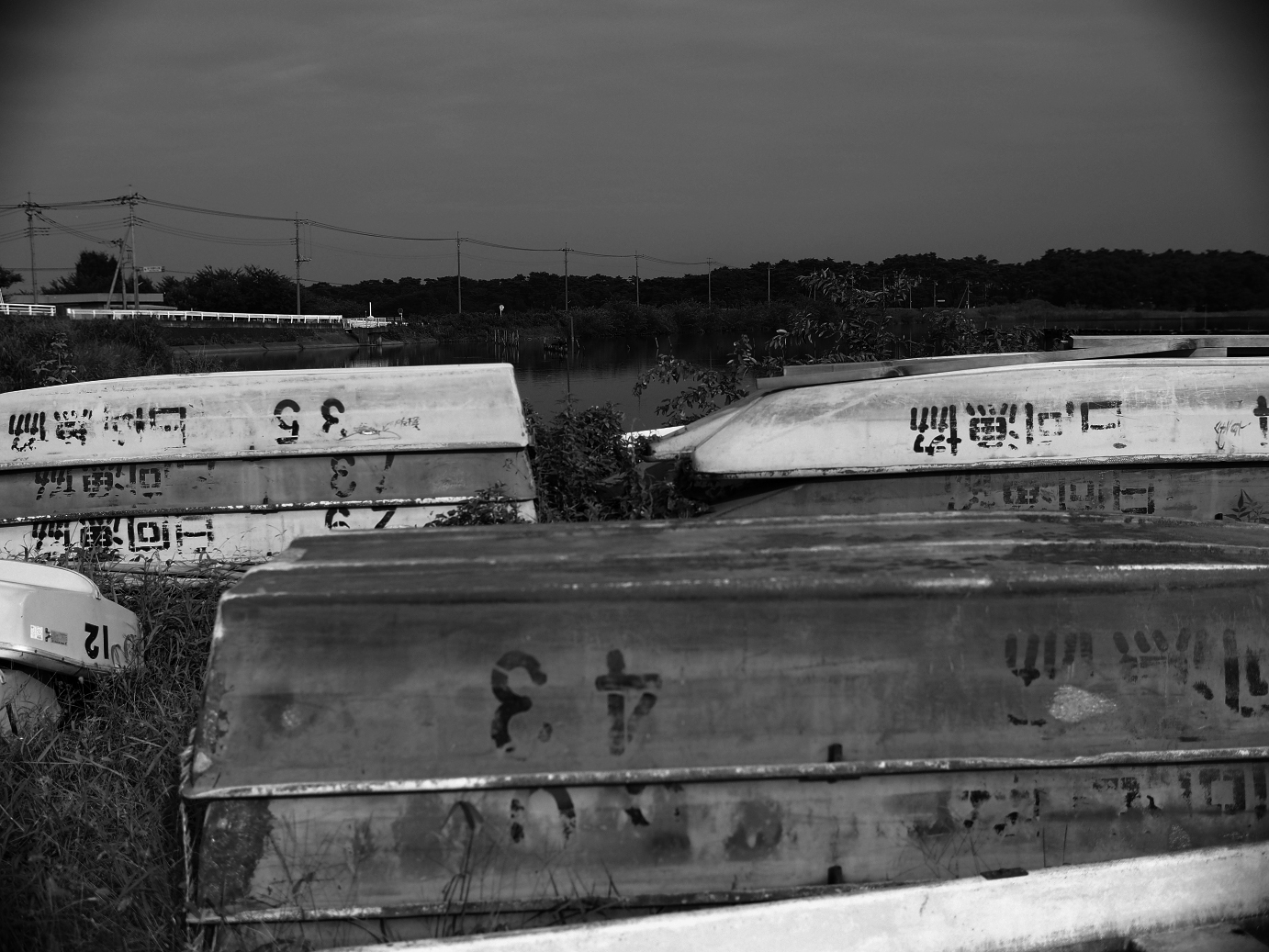 P8250043.jpg