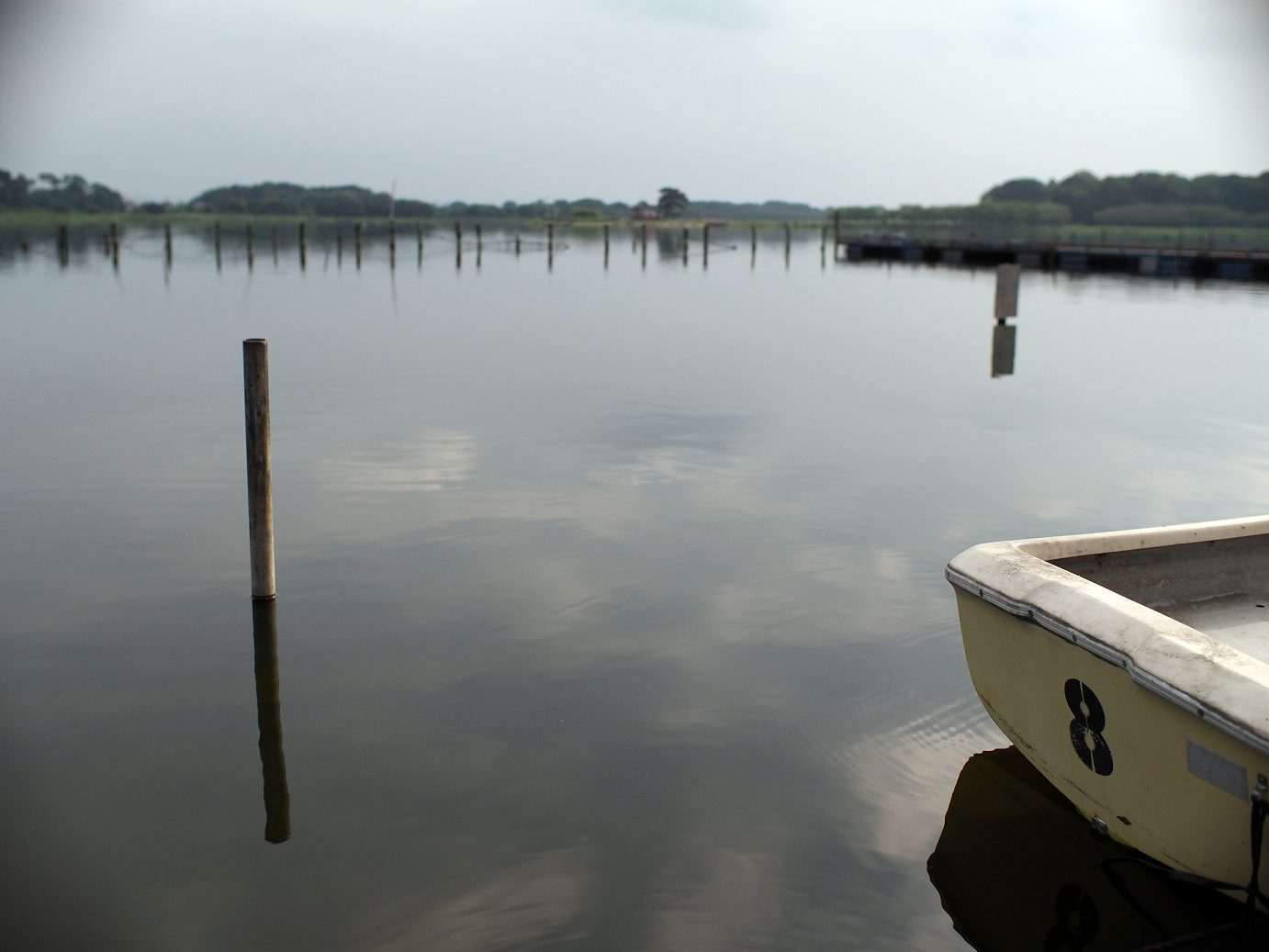 P8250044.jpg