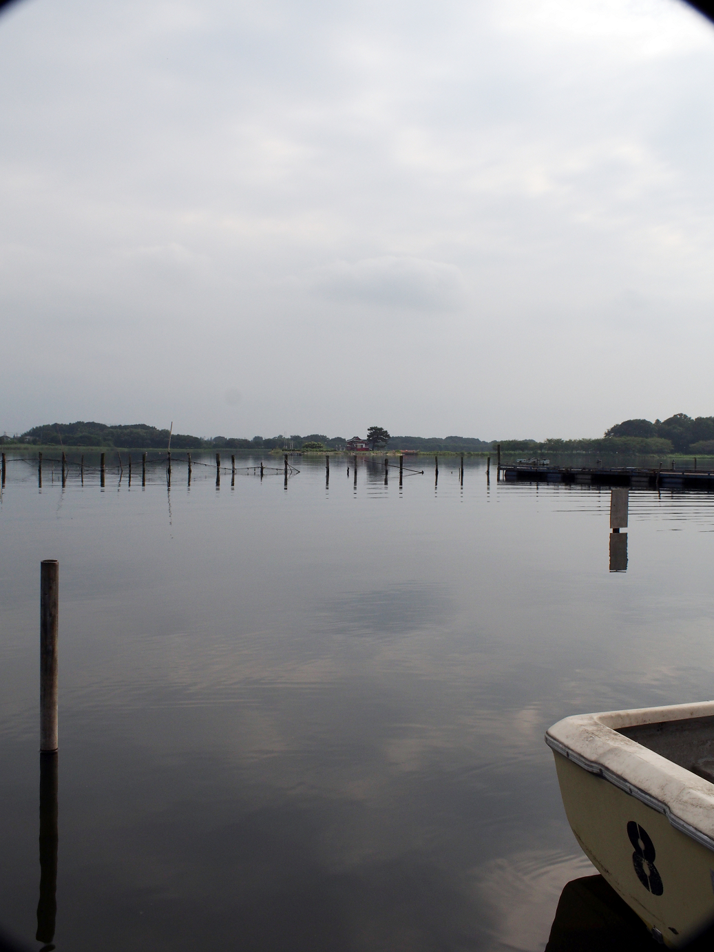 P8250045.jpg