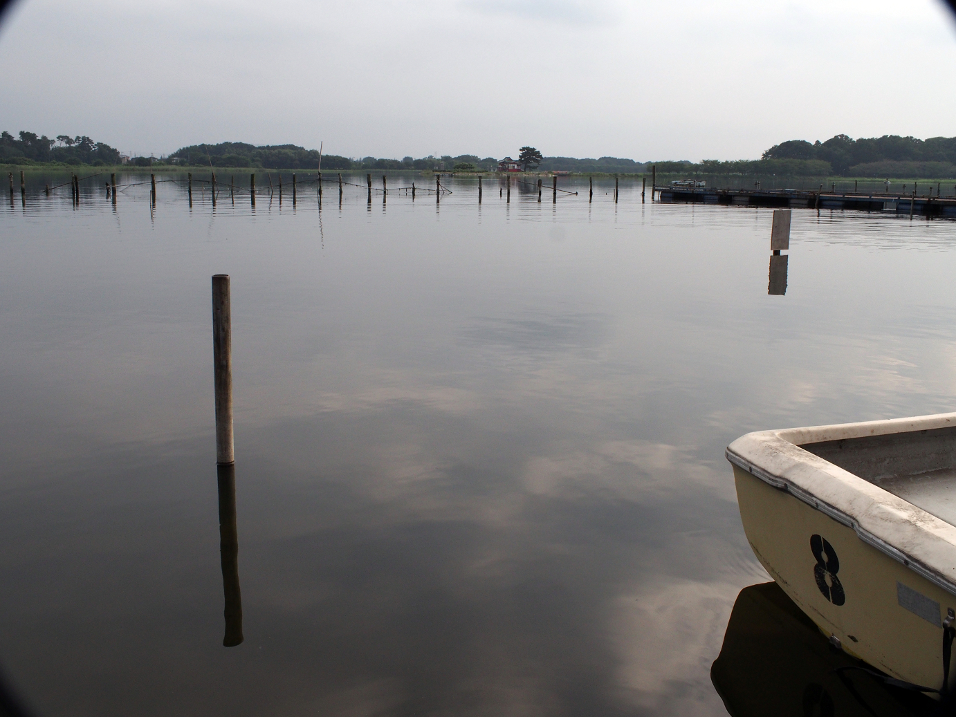 P8250046.jpg