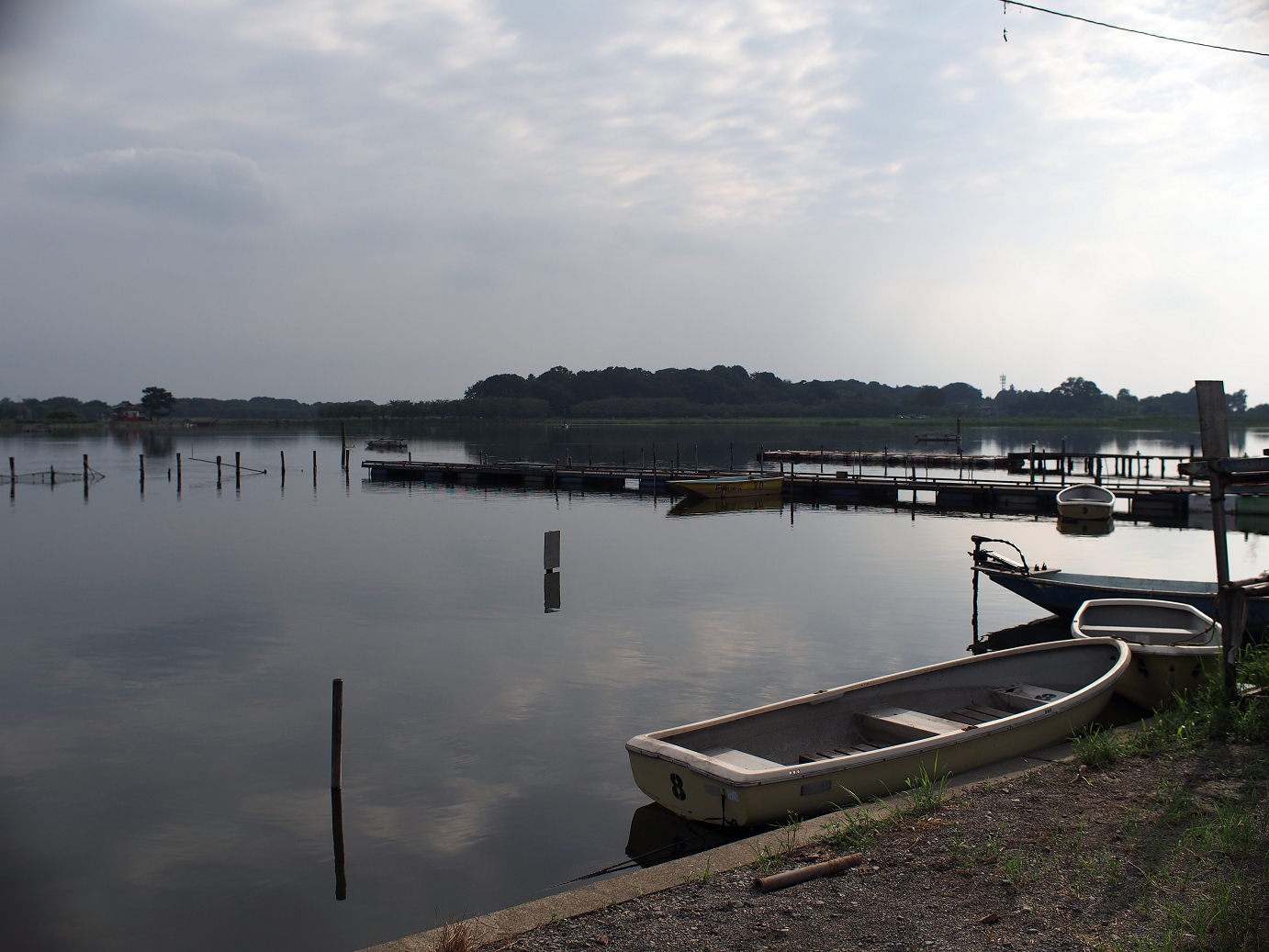 P8250047.jpg