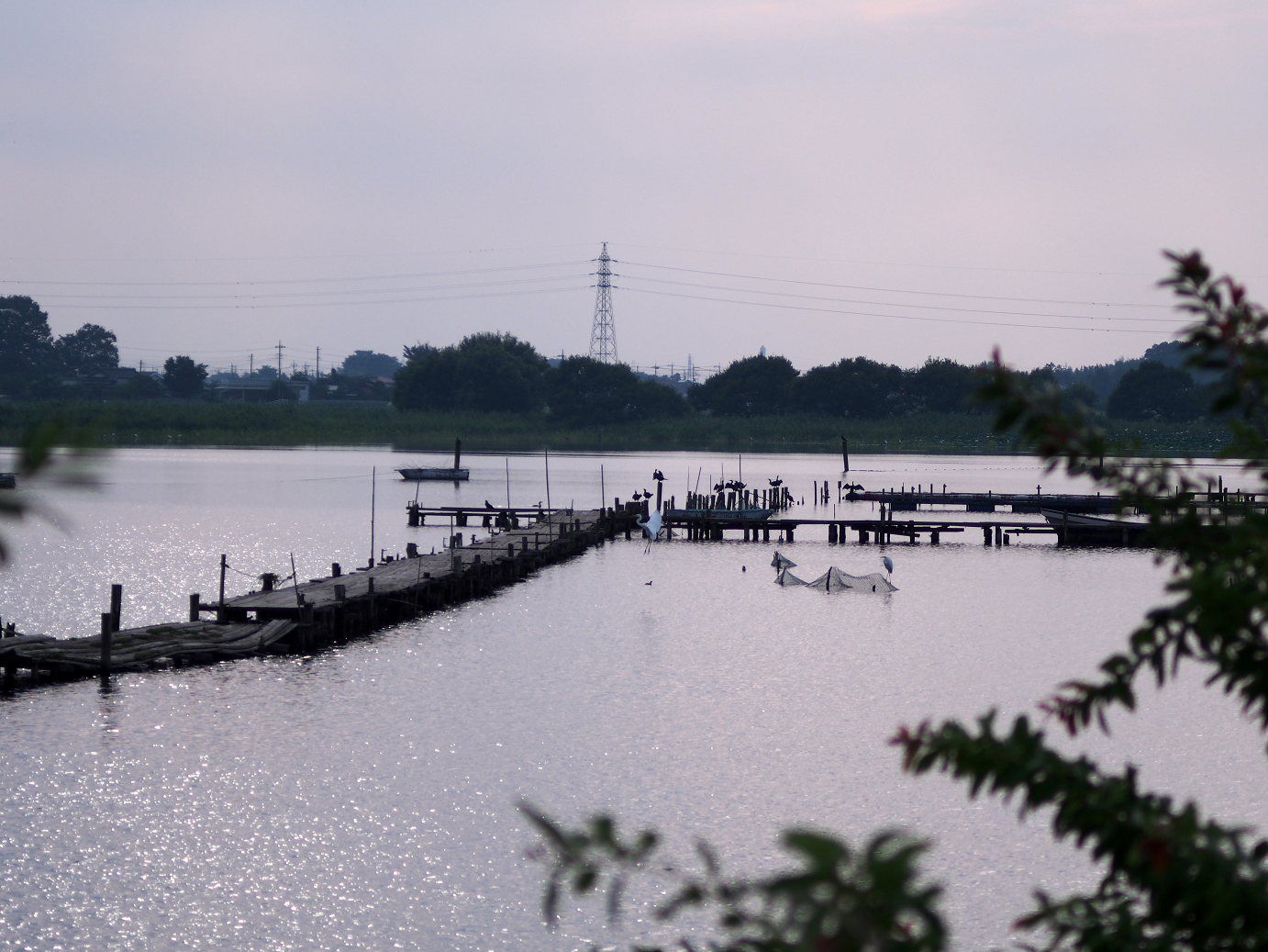P8250054.jpg