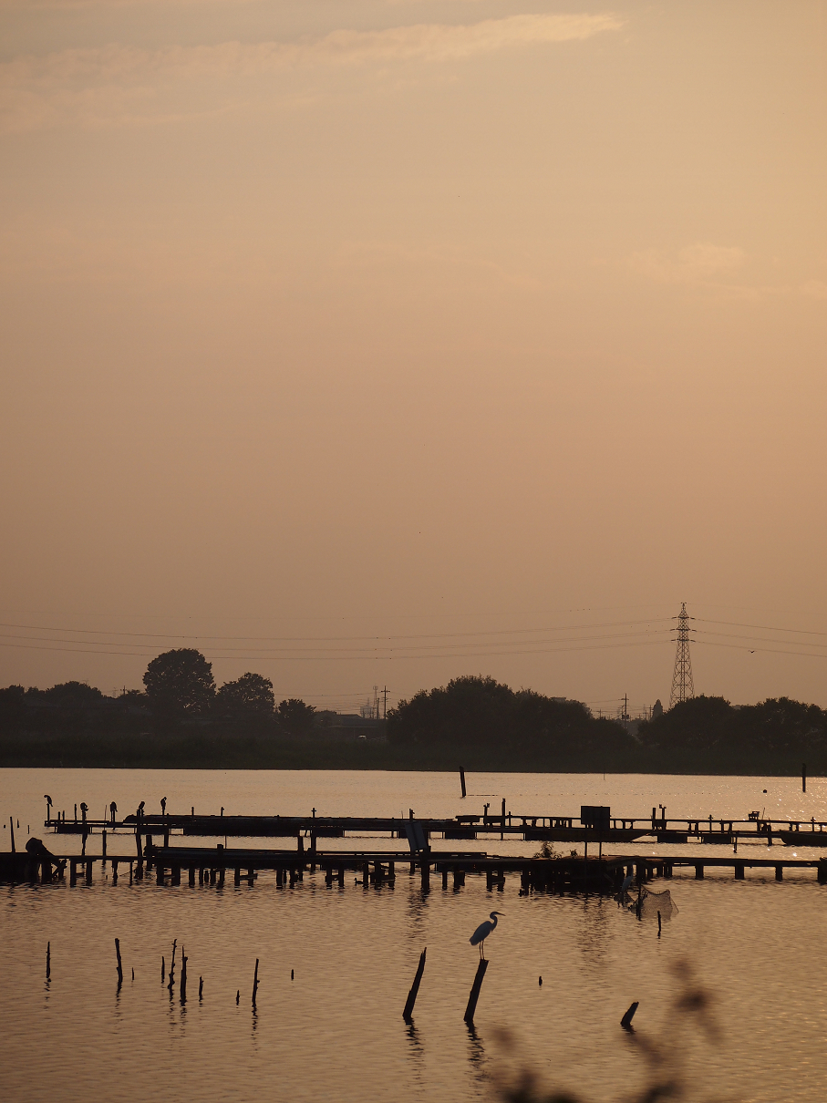 P8250090.jpg