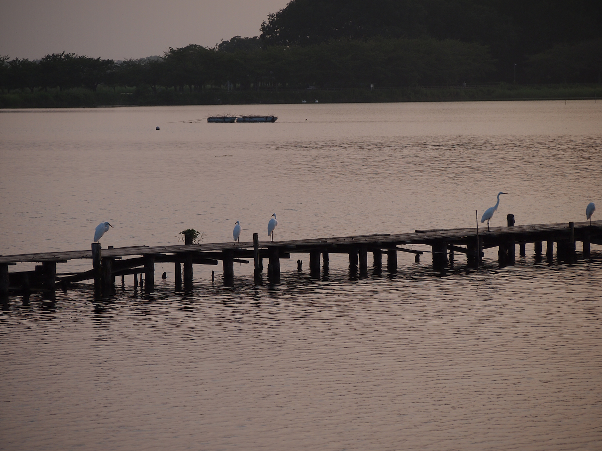 P8250100.jpg