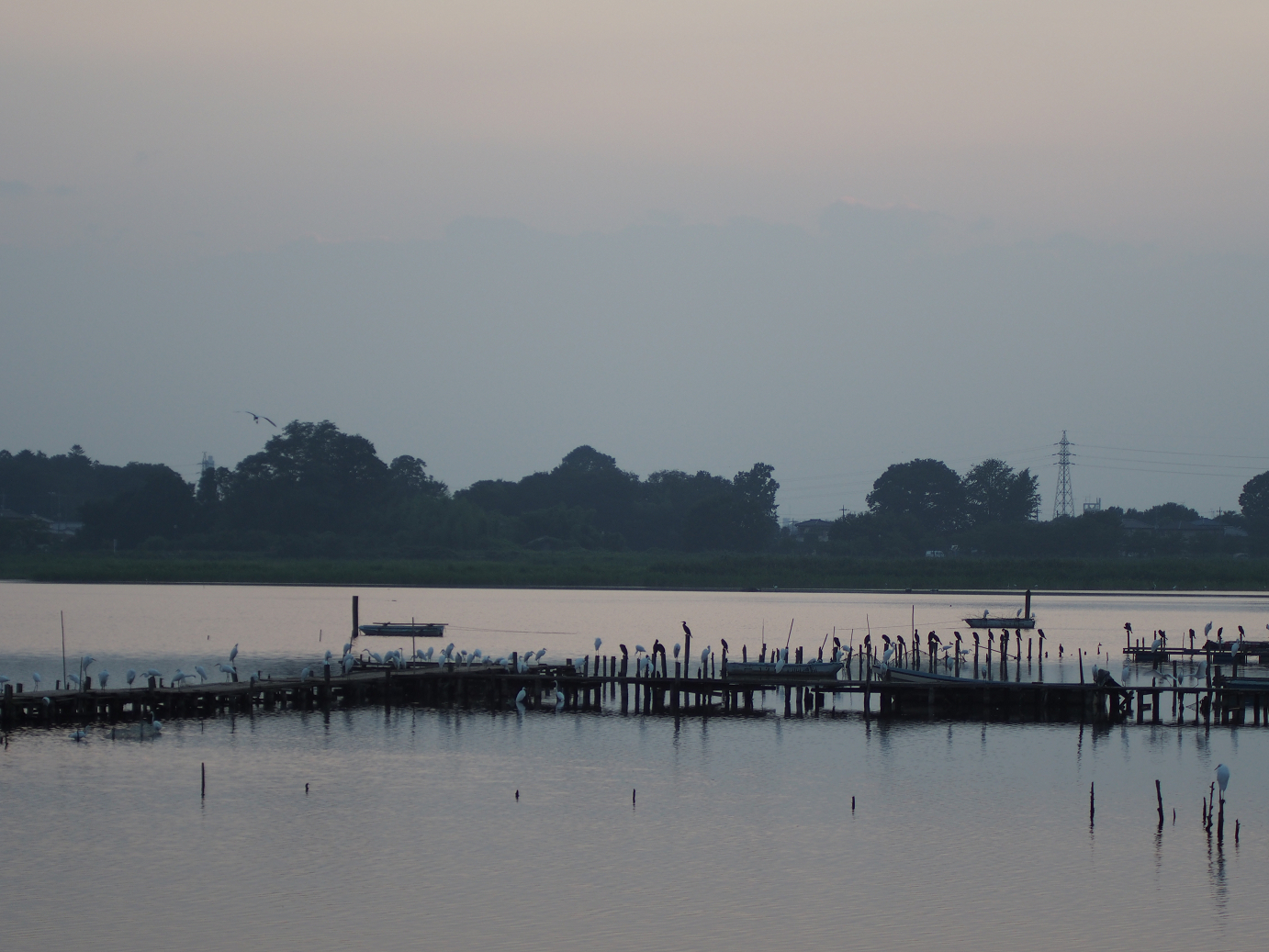 P8250135.jpg