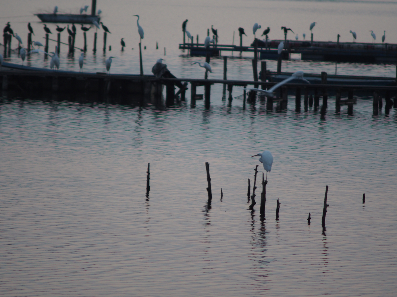 P8250141.jpg
