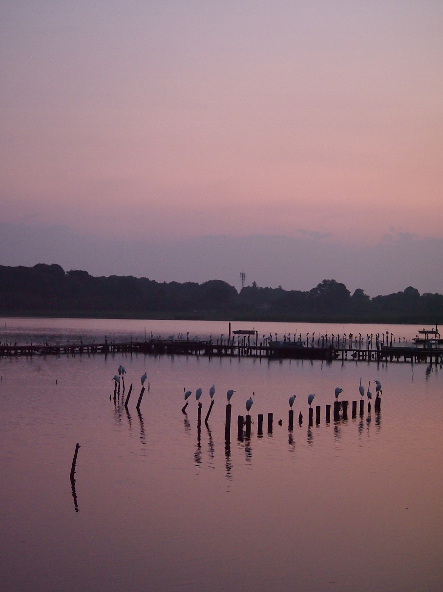P8250161.jpg