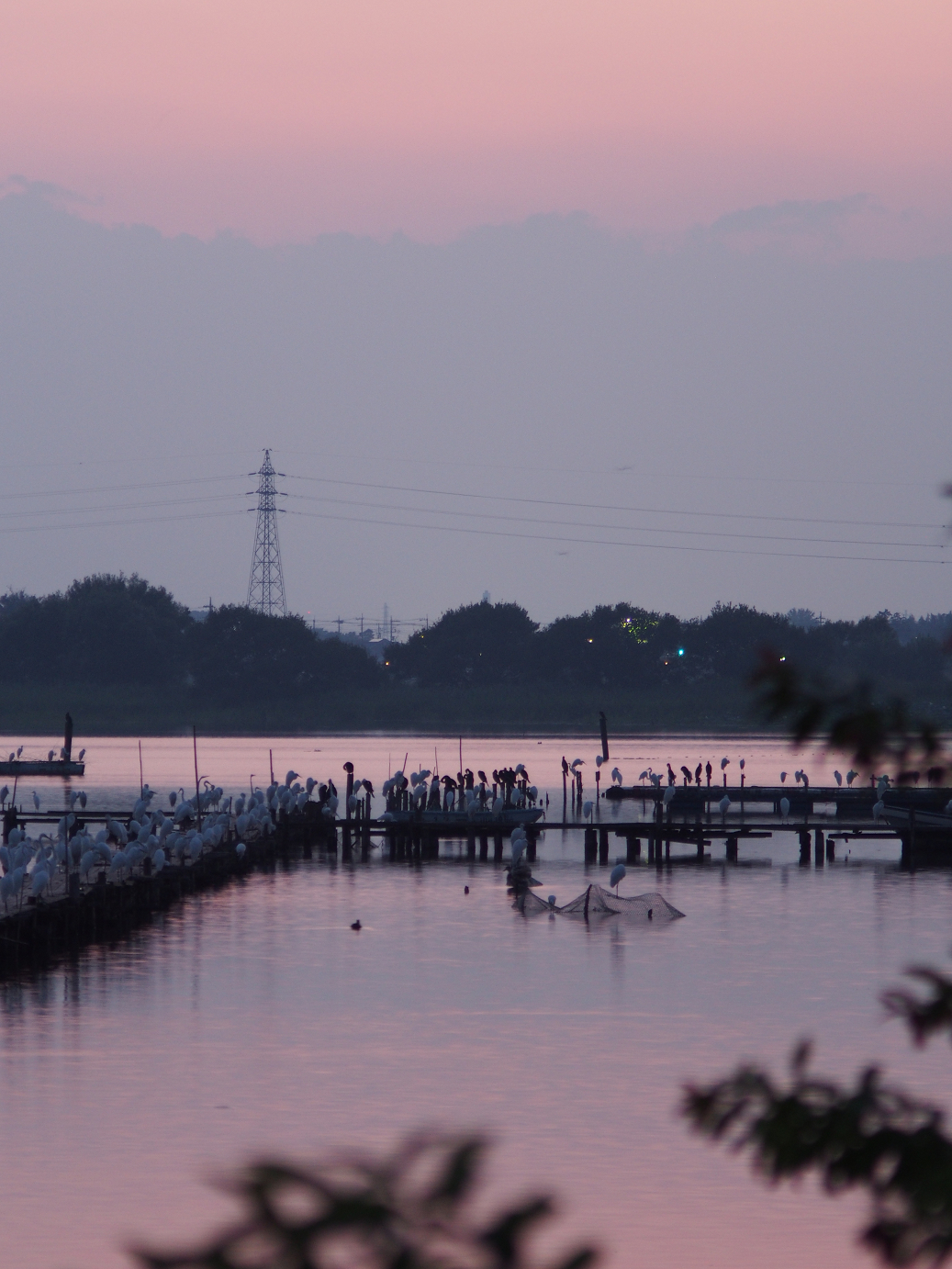 P8250166.jpg
