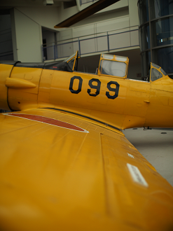 P82800016_thumb.png