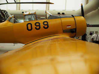 P82800177_thumb.png