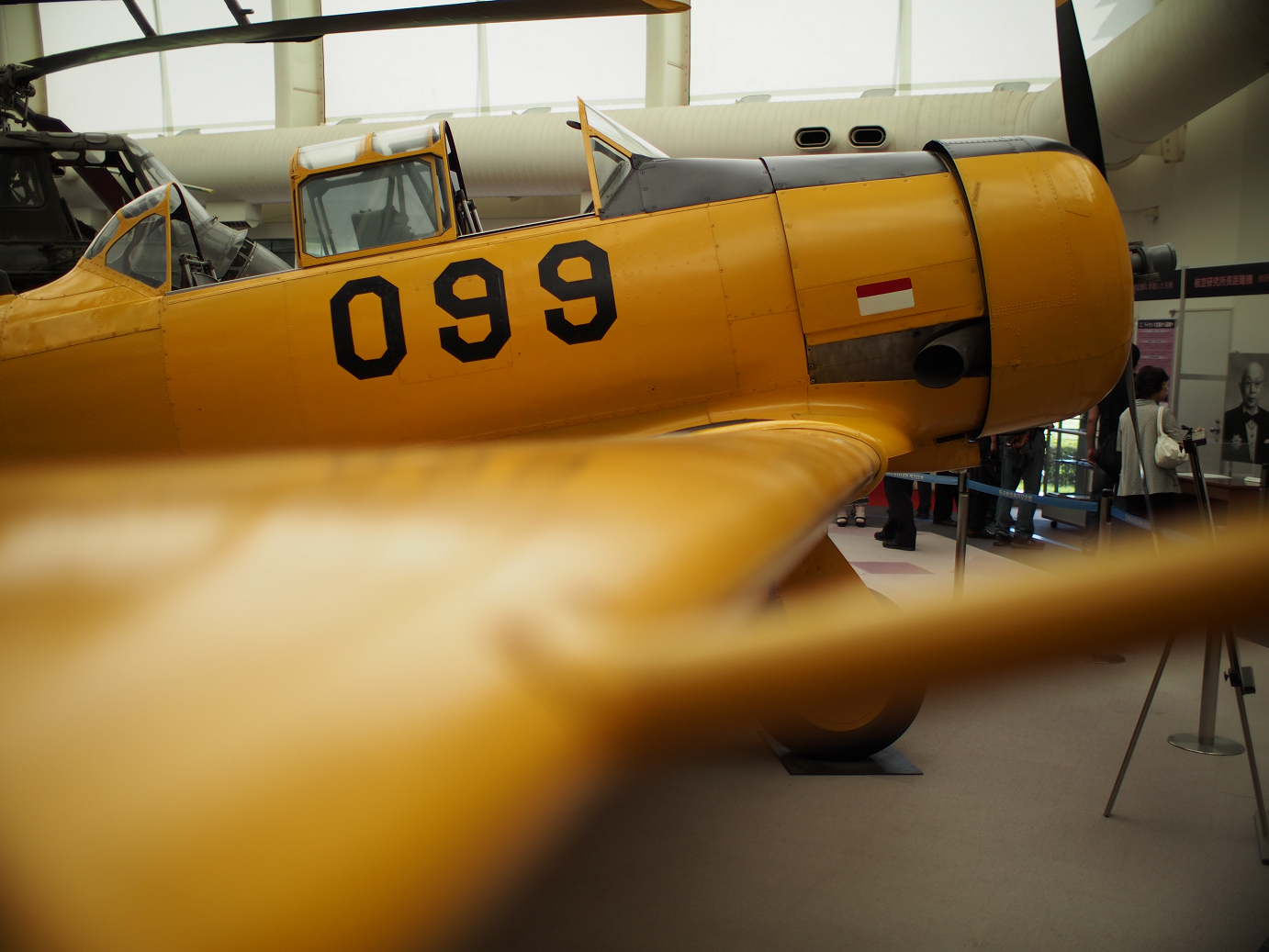 P82800179.jpg