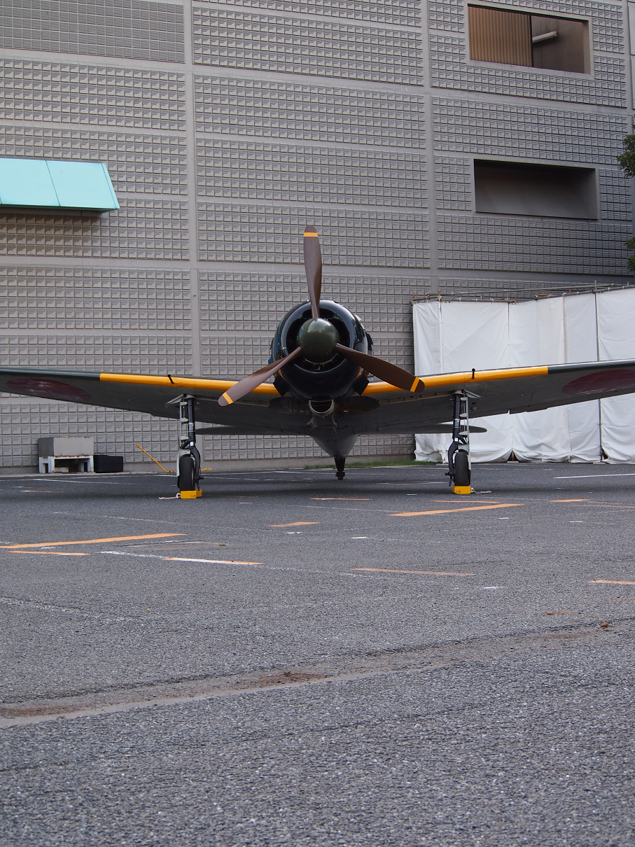 P82800242.jpg