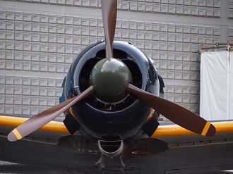 P82800245_thumb.png