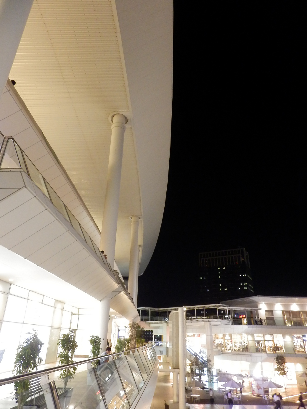 P8301243.jpg