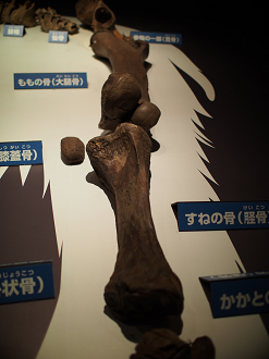 P8310020_thumb.png
