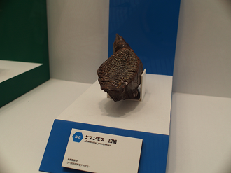 P8310047_thumb.png