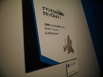 P8310057_thumb.png