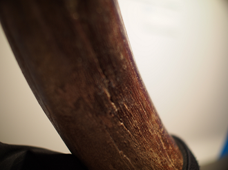P8310065_thumb.png