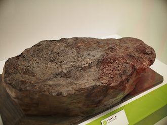 P8310095_thumb.png