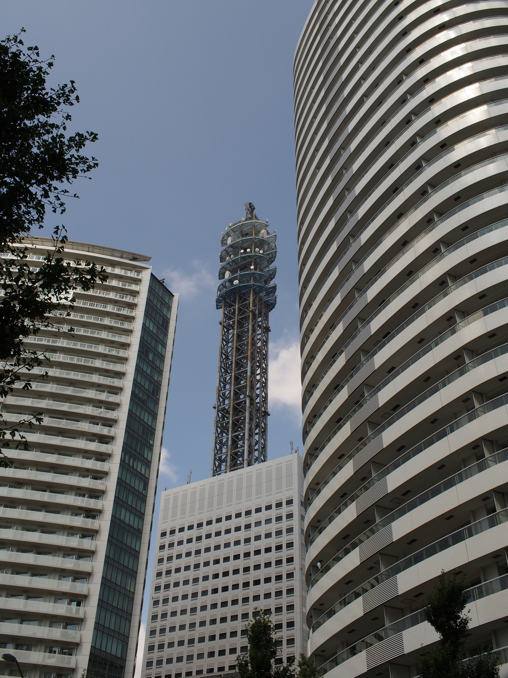 P8310142.jpg