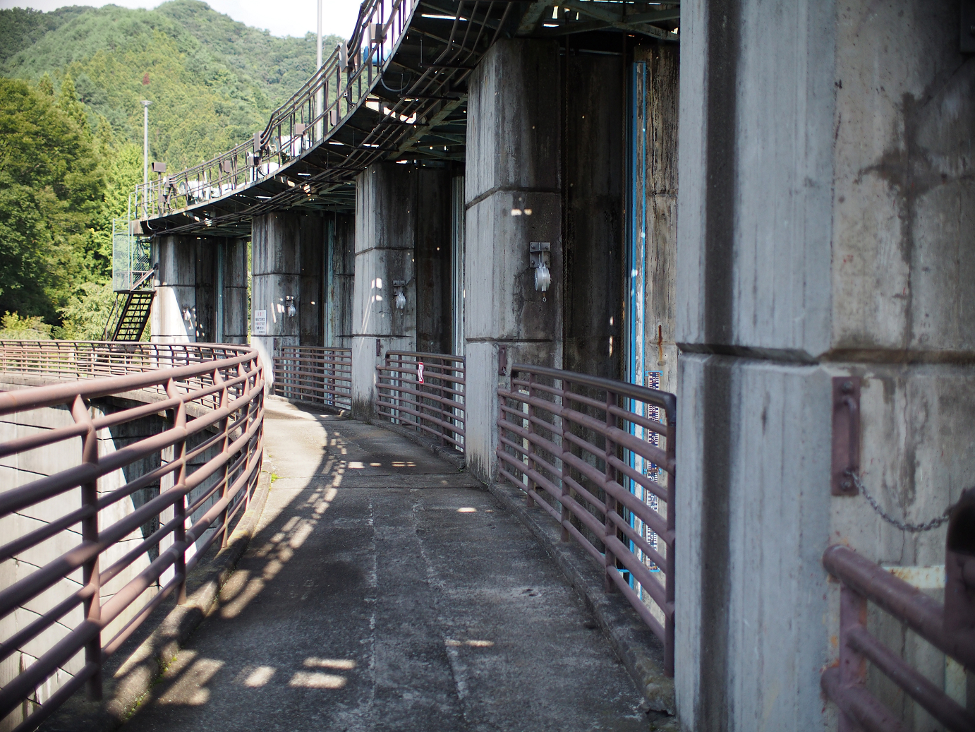 P91200025.jpg