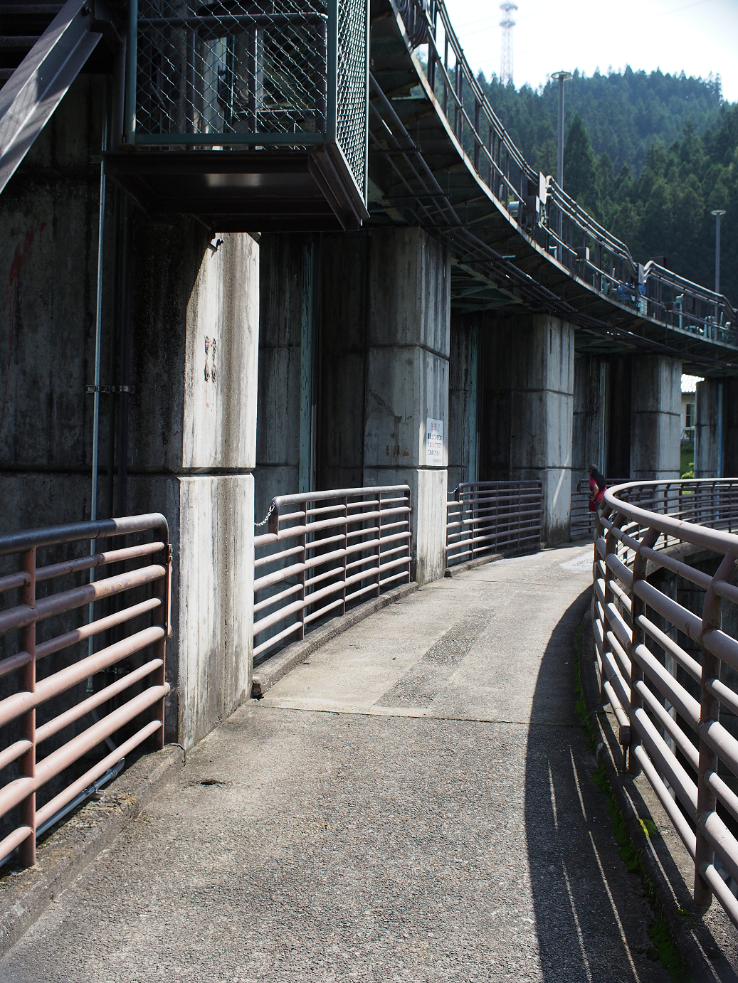 P91200049.jpg