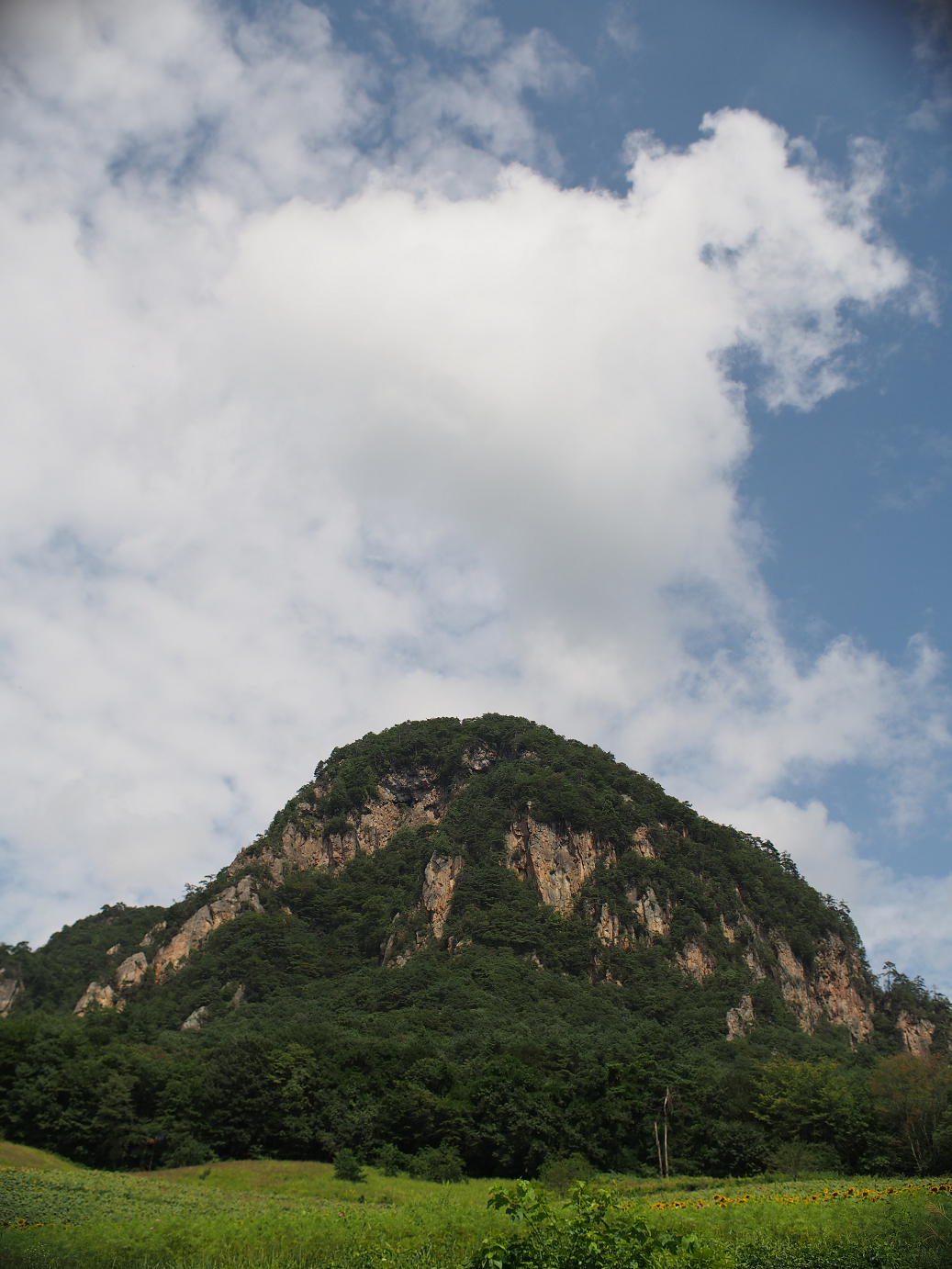 P91200065.jpg