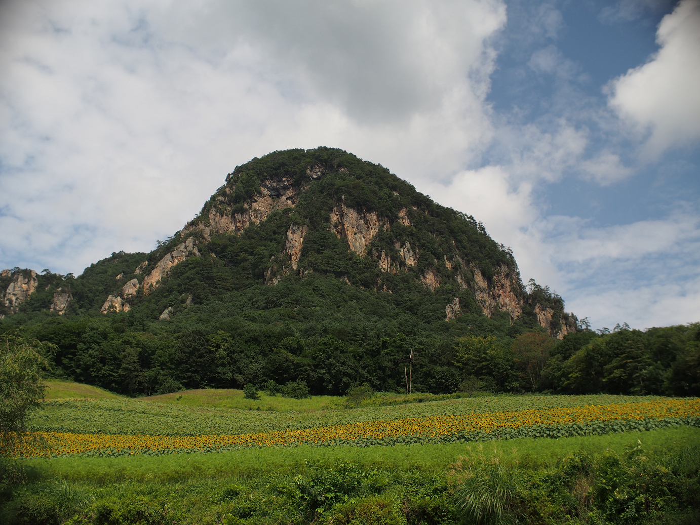 P91200066.jpg