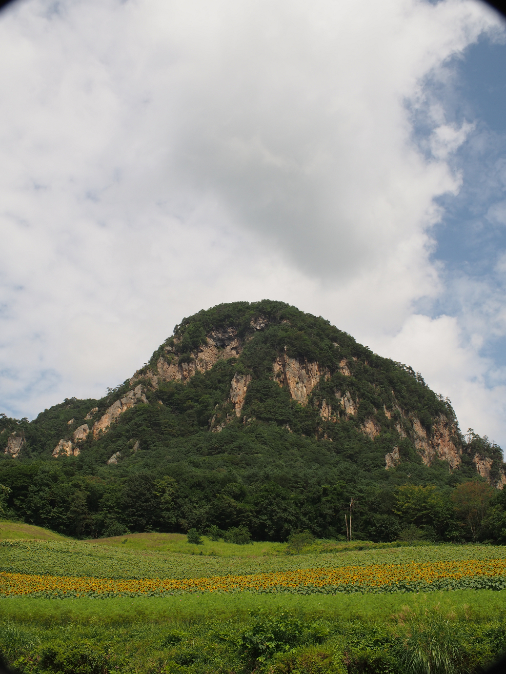 P91200067.jpg