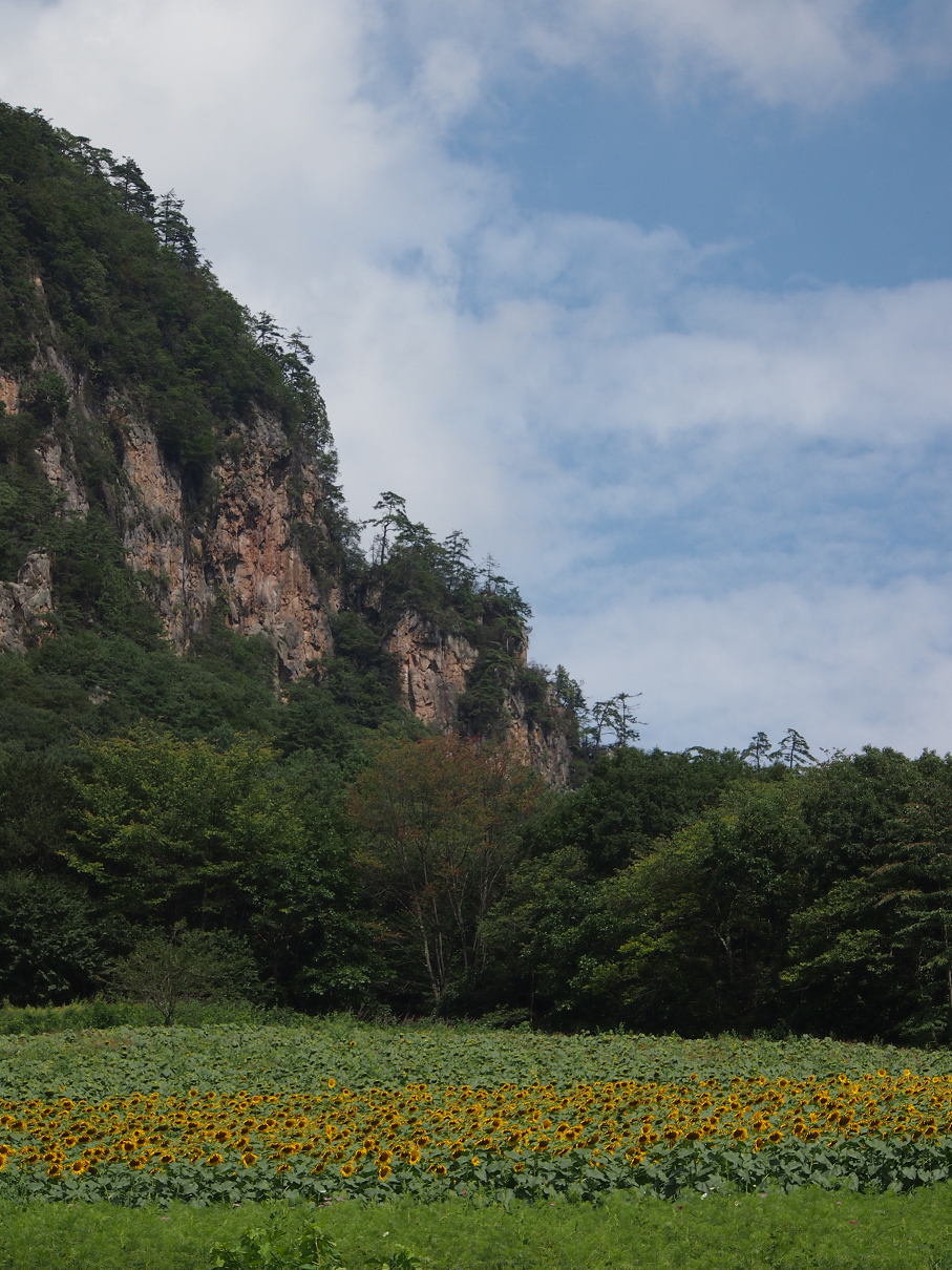 P91200068.jpg