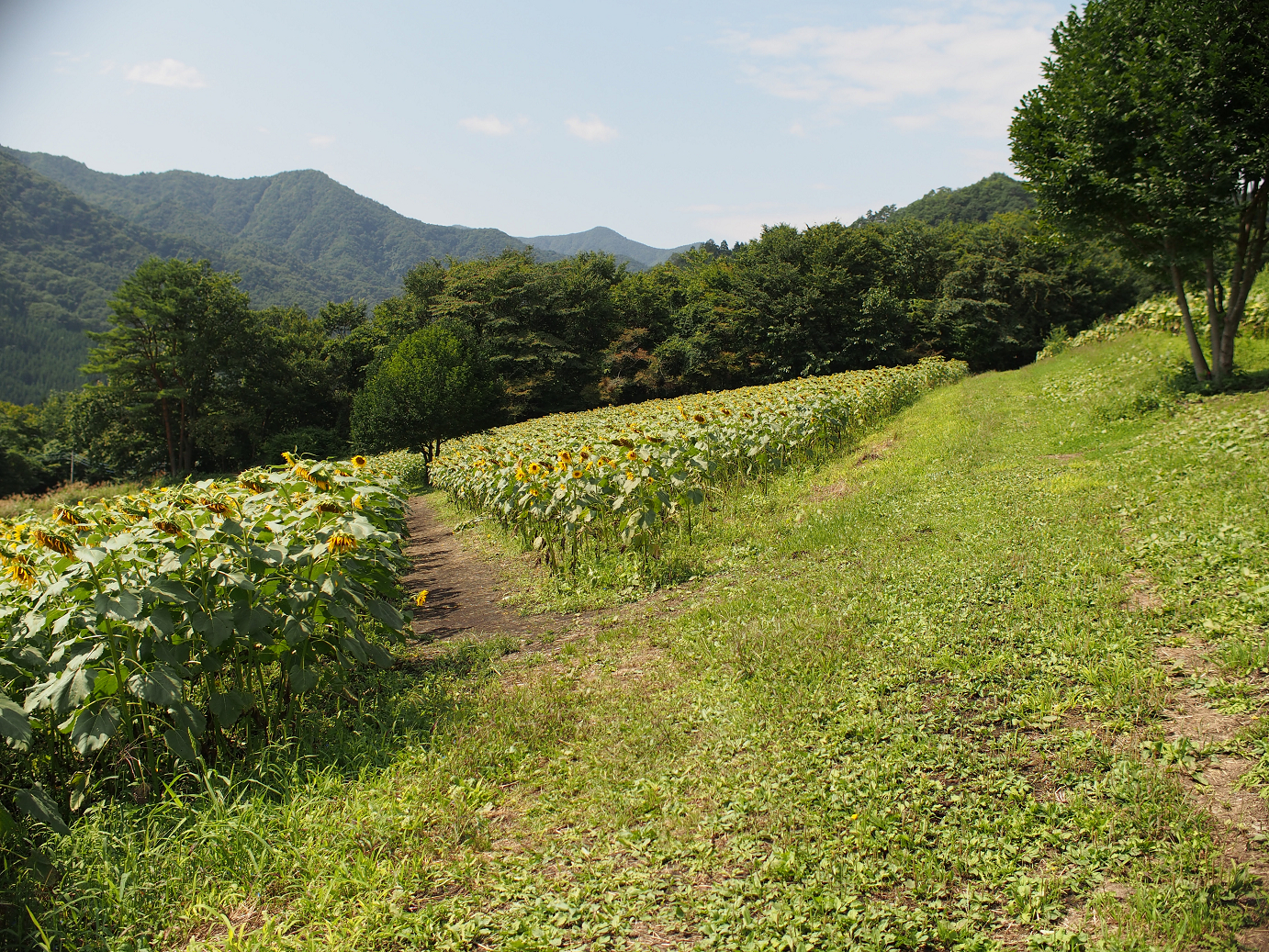 P91200110.jpg