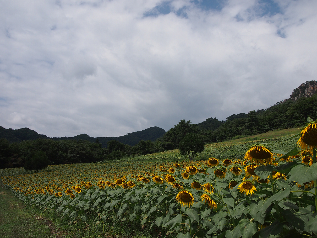 P91200156.jpg