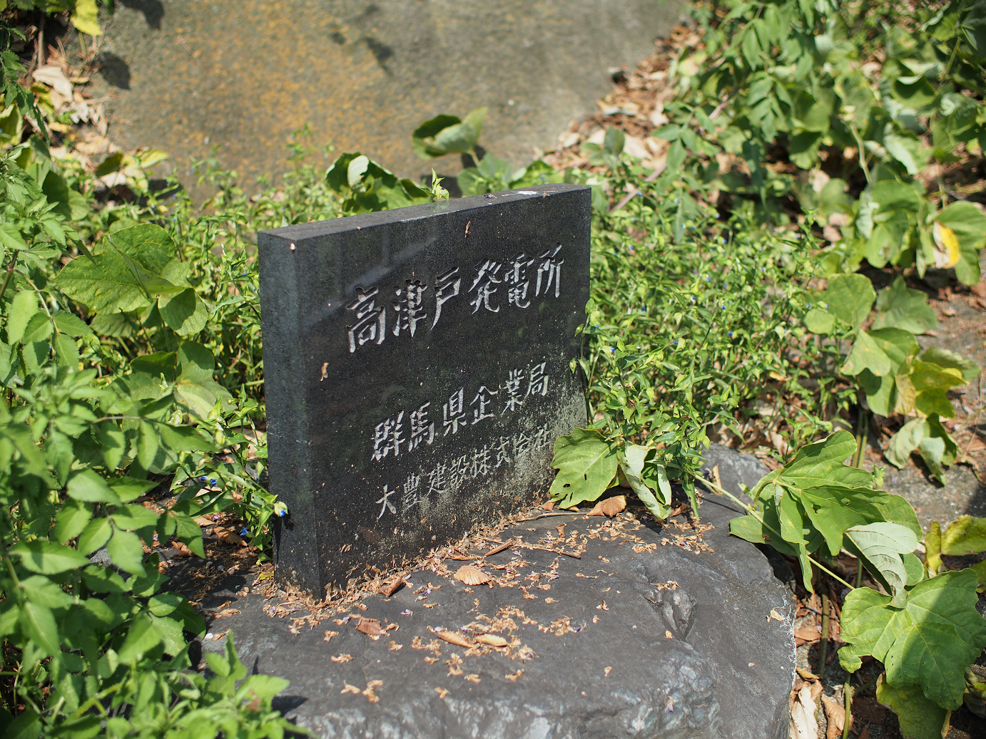 P91200227.jpg