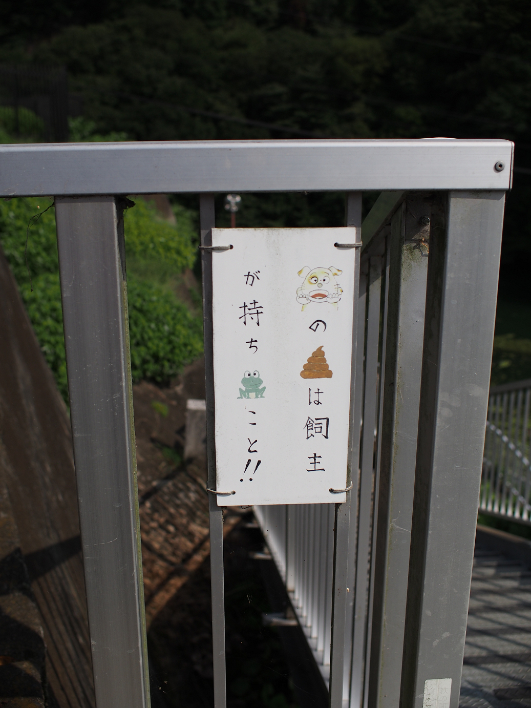 P91200246.jpg
