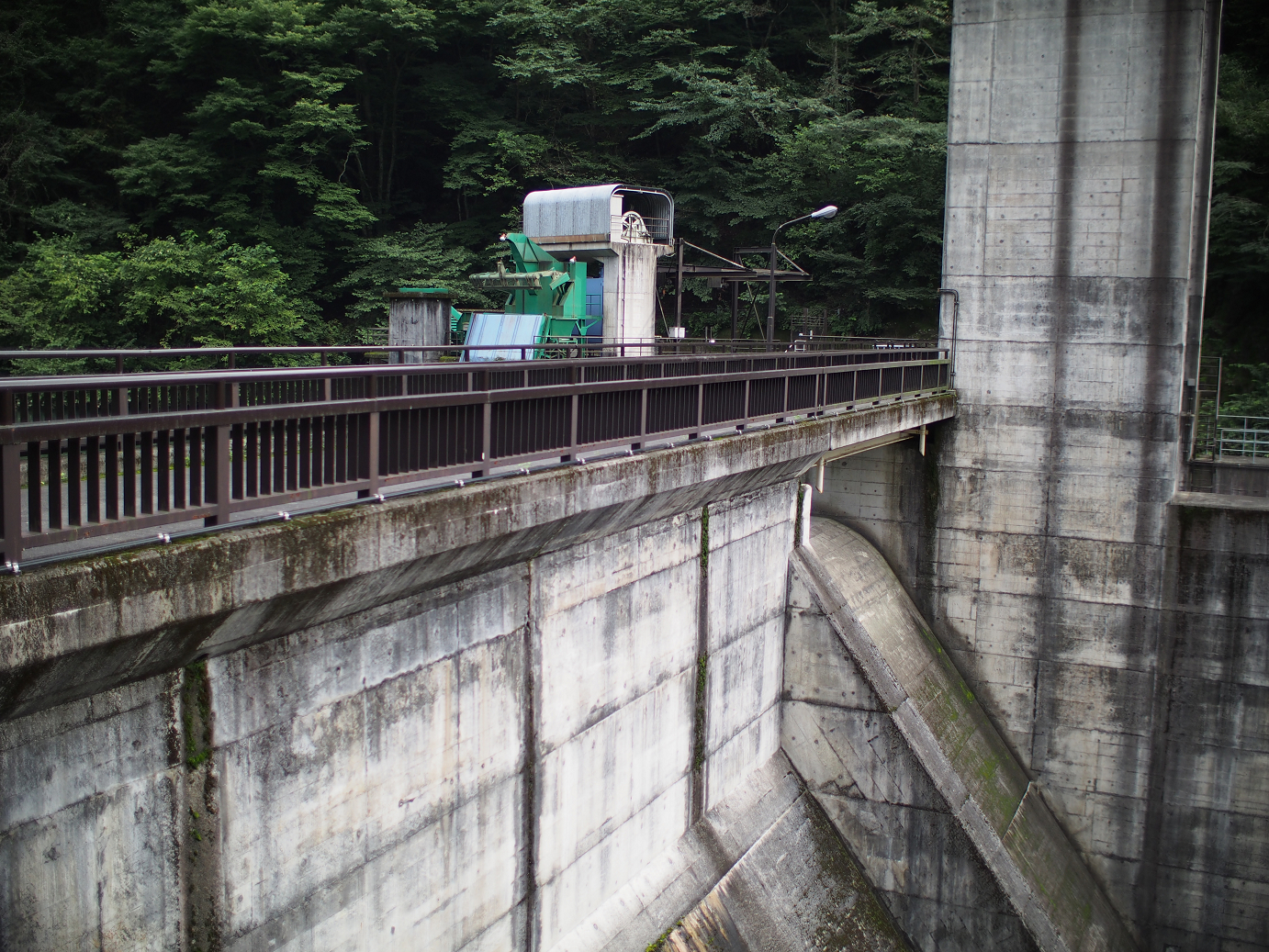 P91200252.jpg