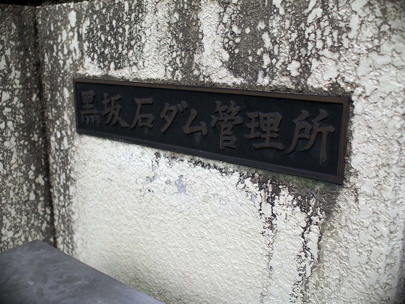 P91200254.jpg