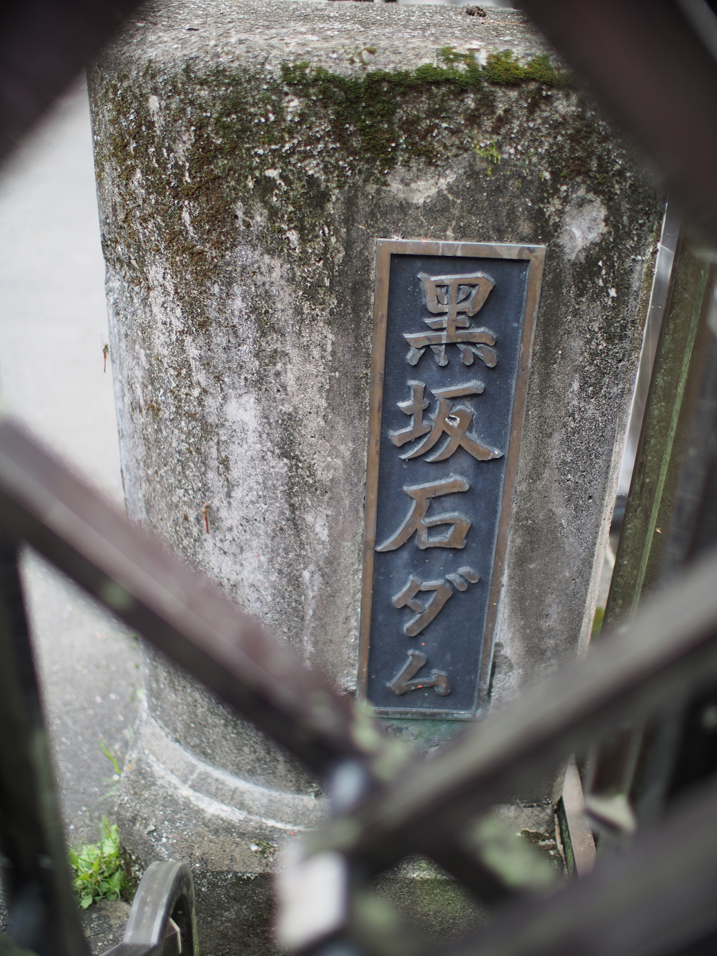 P91200261.jpg
