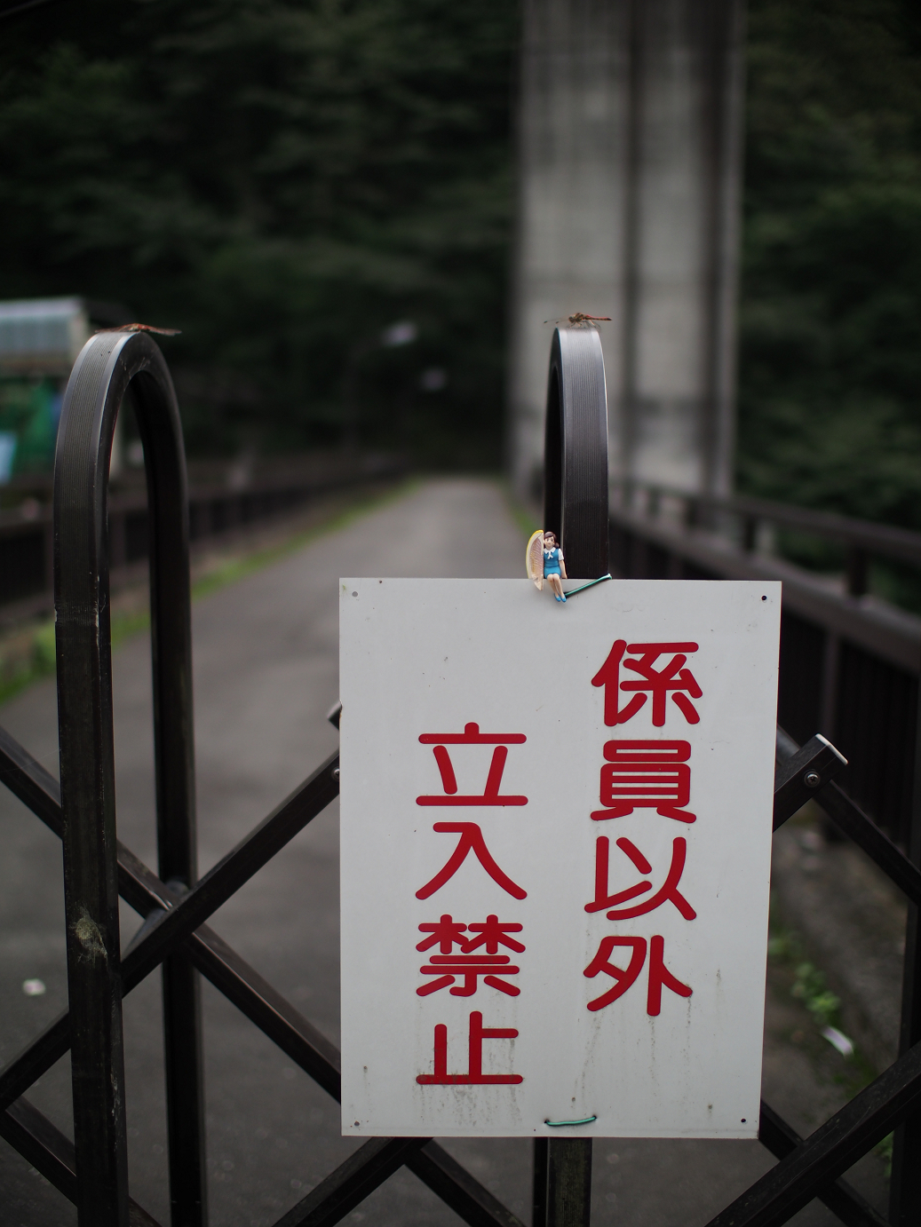 P91200262.jpg
