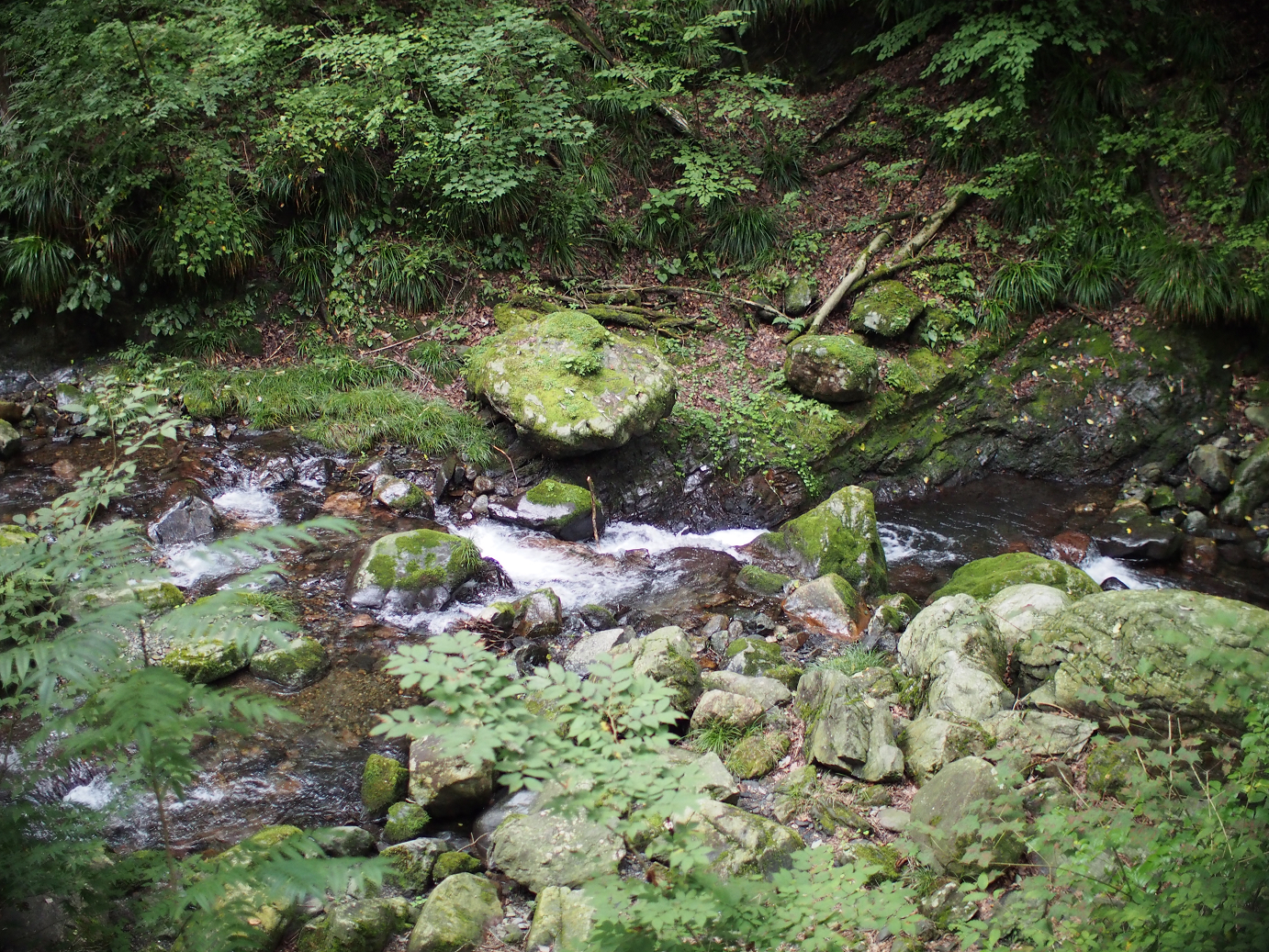 P91200286.jpg
