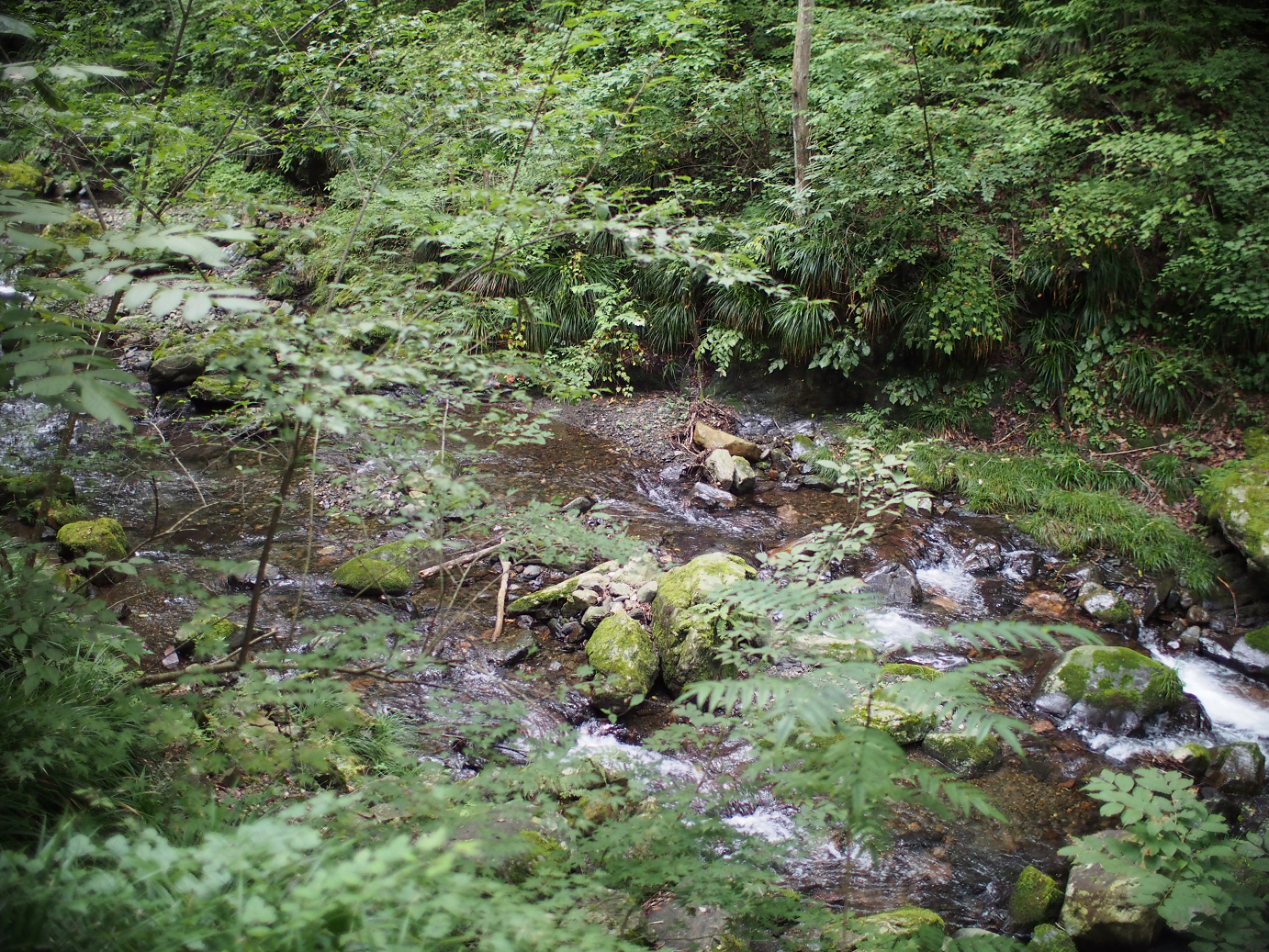P91200287.jpg