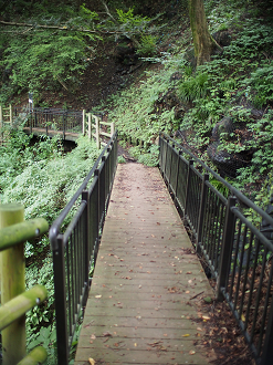 P91200292_thumb.png