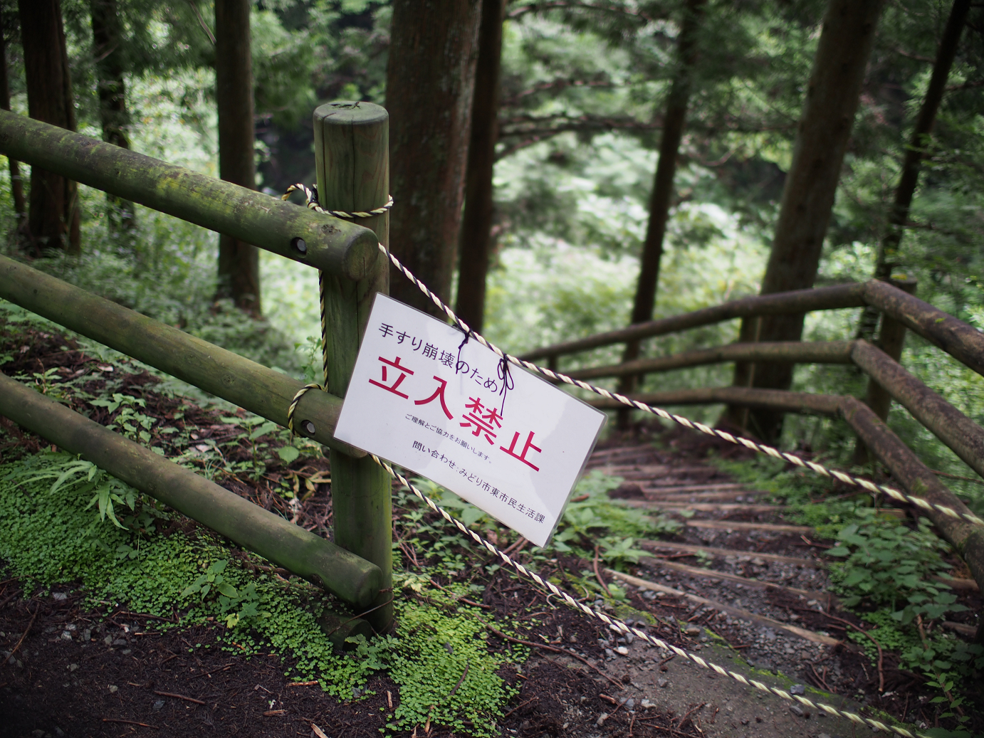 P91200298.jpg
