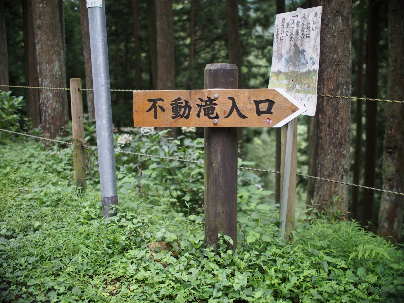 P91200302.jpg