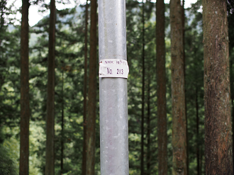 P91200303_thumb.png