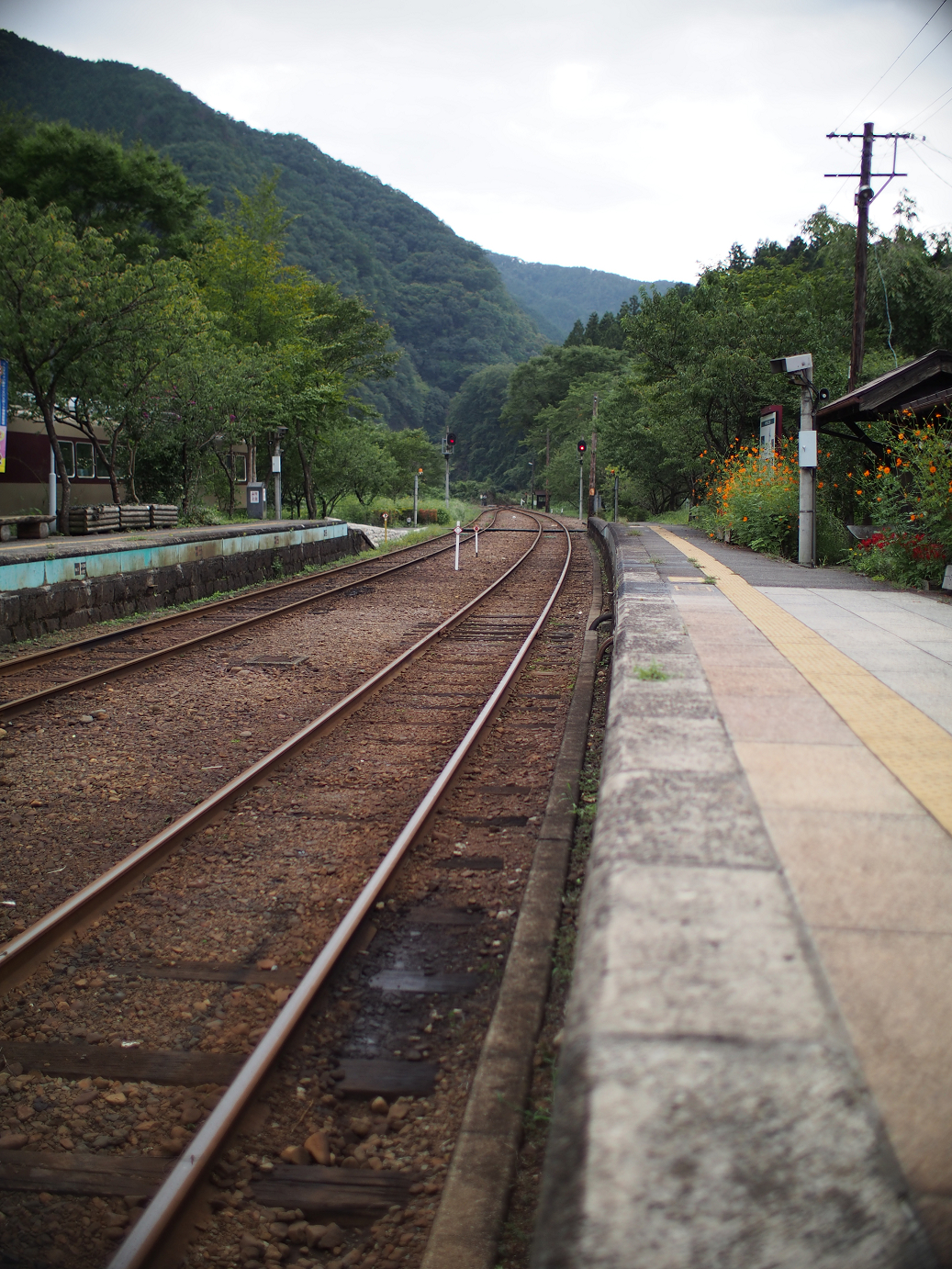 P91200313.jpg